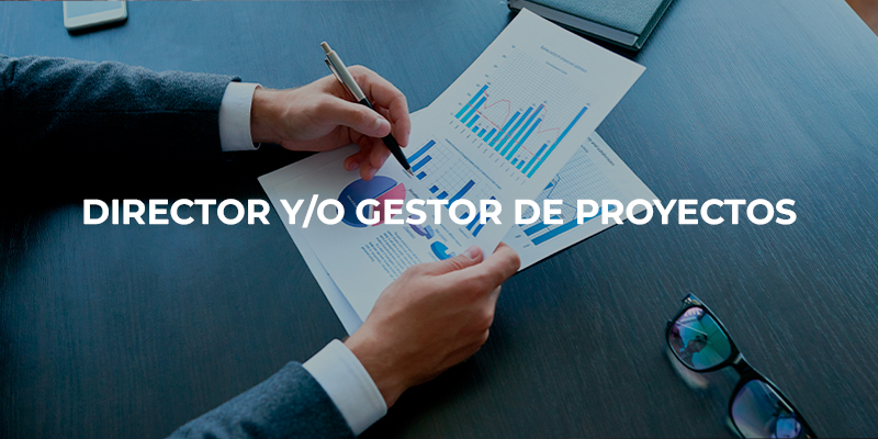 director_y_o_gestor_de_proyectos