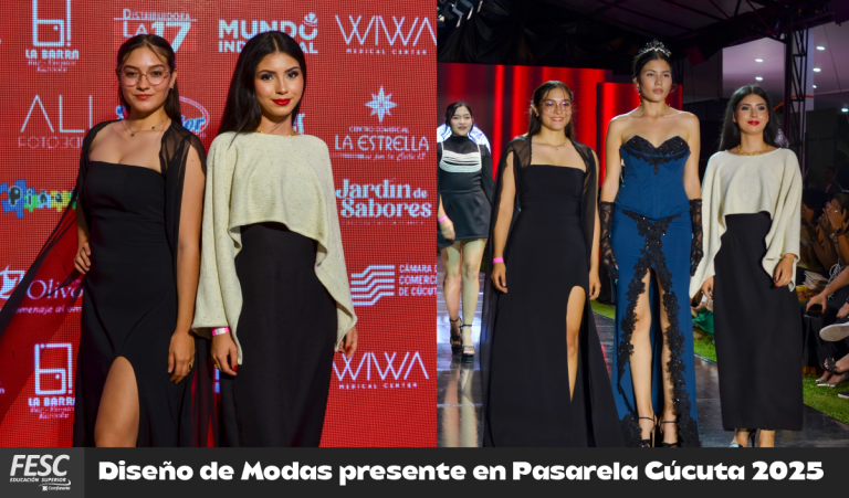 PASARELA NI noticiaMesa de trabajo 10png