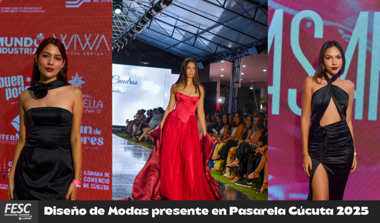 PASARELA NI noticiaMesa de trabajo 11png