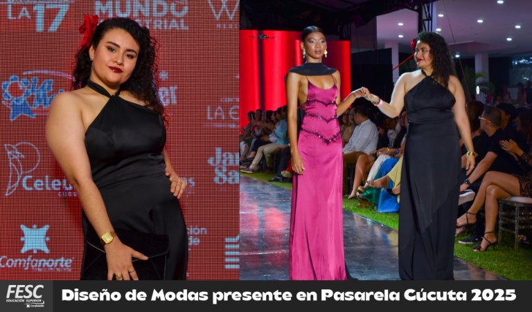 PASARELA NI noticiaMesa de trabajo 4png