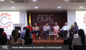 Panel: Mecanismos de Gestión y Control Social 