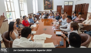 Primer Comité de Educación Superior 2024