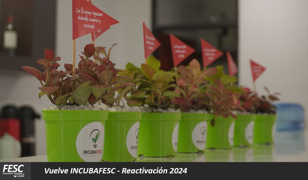 ¡𝗩𝘂𝗲𝗹𝘃𝗲 𝗜𝗡𝗖𝗨𝗕𝗔𝗙𝗘𝗦𝗖!